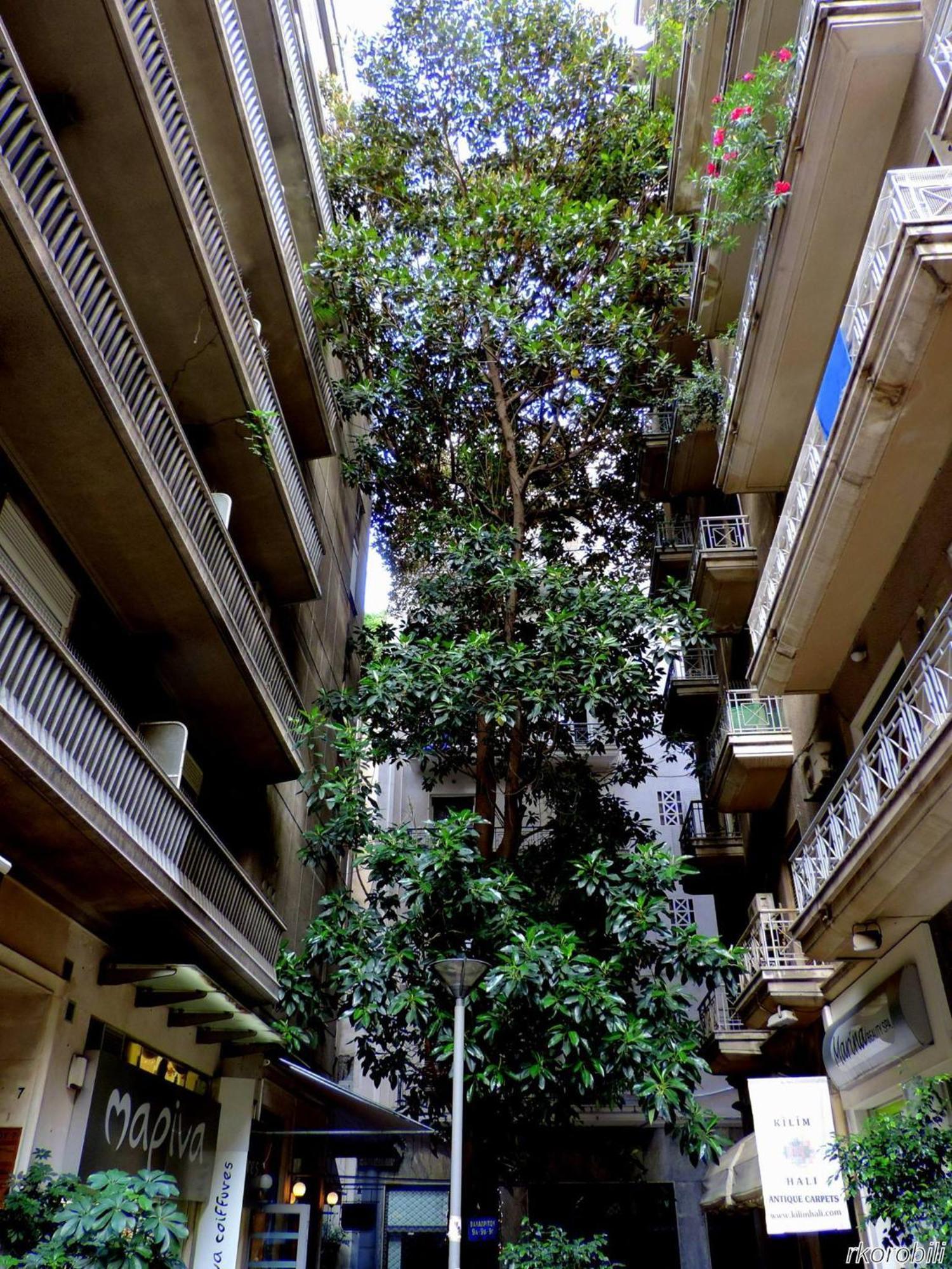 Stay At Premium Syntagma Location - Experience 1 Athen Eksteriør bilde